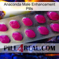 Anaconda Male Enhancement Pills 09